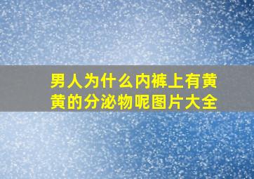 男人为什么内裤上有黄黄的分泌物呢图片大全