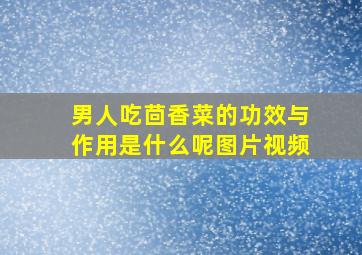 男人吃茴香菜的功效与作用是什么呢图片视频