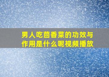 男人吃茴香菜的功效与作用是什么呢视频播放