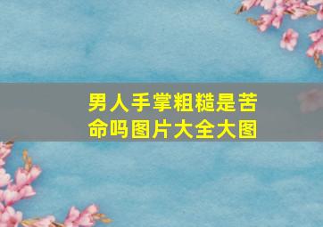 男人手掌粗糙是苦命吗图片大全大图