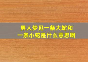 男人梦见一条大蛇和一条小蛇是什么意思啊