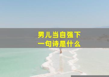 男儿当自强下一句诗是什么