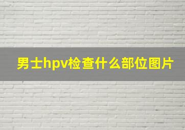 男士hpv检查什么部位图片