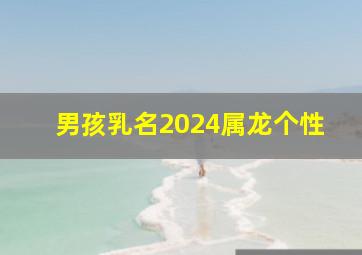 男孩乳名2024属龙个性