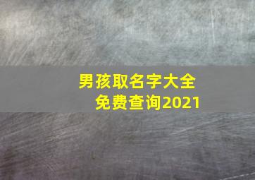 男孩取名字大全免费查询2021