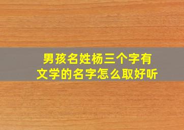 男孩名姓杨三个字有文学的名字怎么取好听