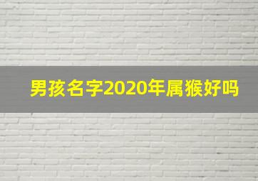 男孩名字2020年属猴好吗