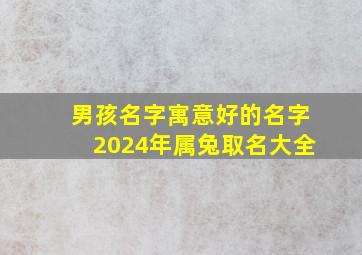 男孩名字寓意好的名字2024年属兔取名大全