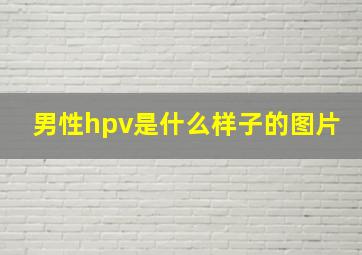 男性hpv是什么样子的图片