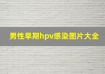 男性早期hpv感染图片大全