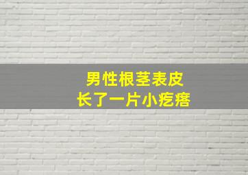 男性根茎表皮长了一片小疙瘩