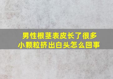 男性根茎表皮长了很多小颗粒挤出白头怎么回事