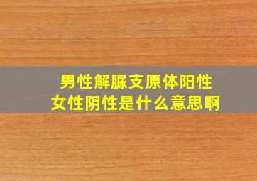 男性解脲支原体阳性女性阴性是什么意思啊