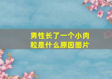 男性长了一个小肉粒是什么原因图片