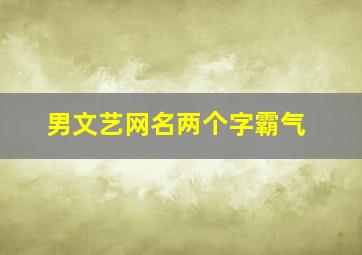 男文艺网名两个字霸气