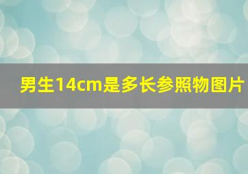 男生14cm是多长参照物图片