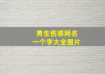 男生伤感网名一个字大全图片