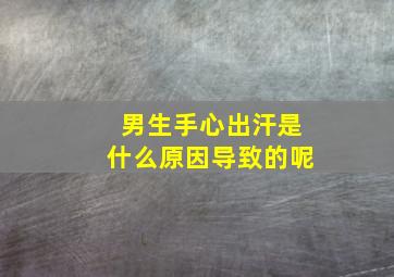 男生手心出汗是什么原因导致的呢