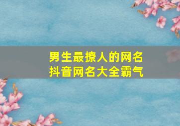 男生最撩人的网名抖音网名大全霸气