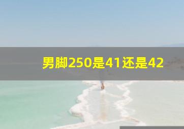 男脚250是41还是42