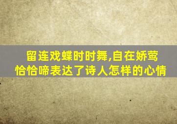 留连戏蝶时时舞,自在娇莺恰恰啼表达了诗人怎样的心情