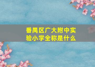 番禺区广大附中实验小学全称是什么