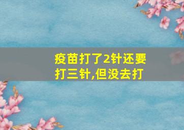 疫苗打了2针还要打三针,但没去打