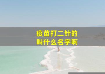 疫苗打二针的叫什么名字啊