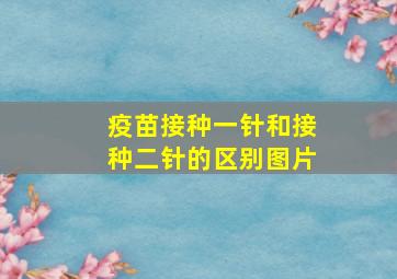 疫苗接种一针和接种二针的区别图片