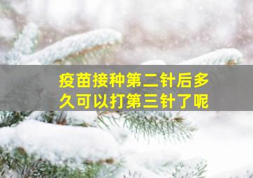 疫苗接种第二针后多久可以打第三针了呢