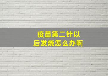 疫苗第二针以后发烧怎么办啊