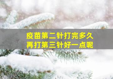 疫苗第二针打完多久再打第三针好一点呢