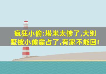 疯狂小偷:塔米太惨了,大别墅被小偷霸占了,有家不能回!