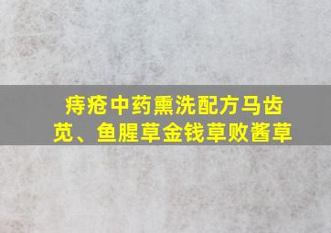 痔疮中药熏洗配方马齿苋、鱼腥草金钱草败酱草