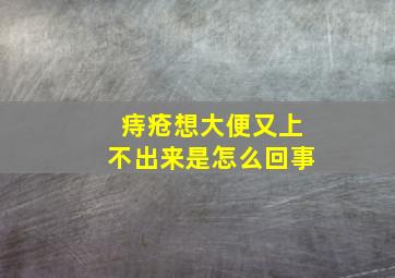 痔疮想大便又上不出来是怎么回事