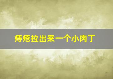 痔疮拉出来一个小肉丁