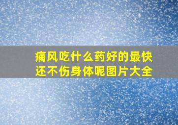 痛风吃什么药好的最快还不伤身体呢图片大全