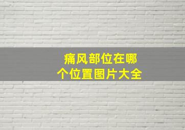 痛风部位在哪个位置图片大全