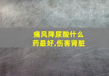 痛风降尿酸什么药最好,伤害肾脏