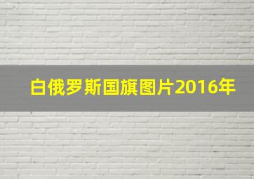 白俄罗斯国旗图片2016年