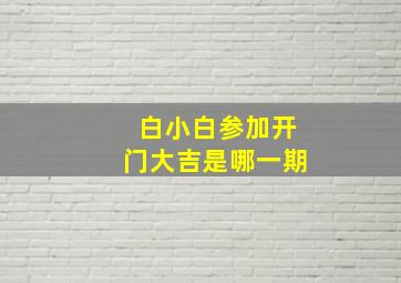 白小白参加开门大吉是哪一期