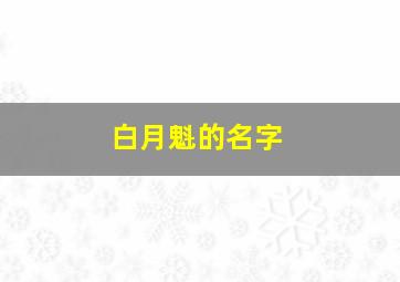 白月魁的名字