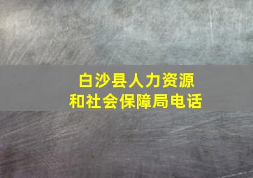 白沙县人力资源和社会保障局电话