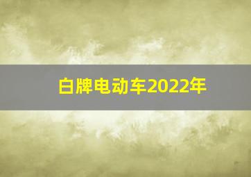 白牌电动车2022年