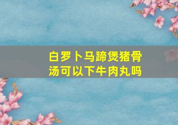 白罗卜马蹄煲猪骨汤可以下牛肉丸吗