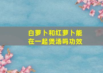 白萝卜和红萝卜能在一起煲汤吗功效