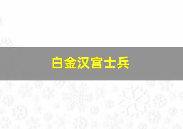 白金汉宫士兵