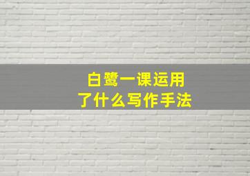 白鹭一课运用了什么写作手法