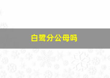 白鹭分公母吗