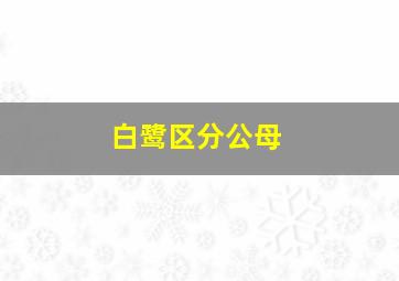 白鹭区分公母